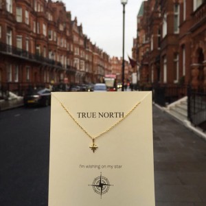  - TRUE NORTH TINY NECKLACE (1)